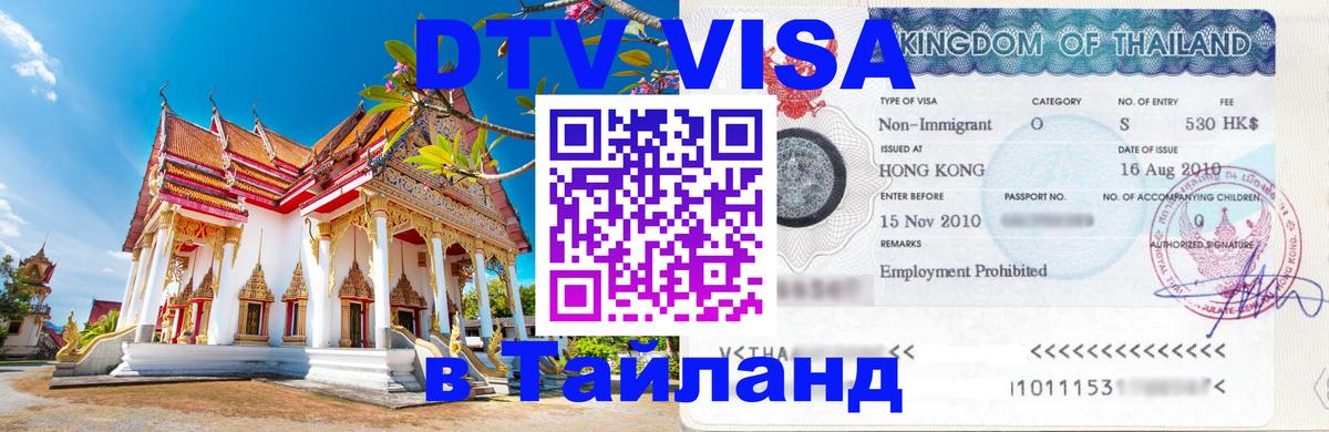 Оформление DTV визы под ключ: стоимость и тарифы, только загранпаспорт - 18.11.2025 